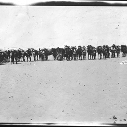 Egypt during World War I