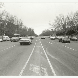 North Adelaide