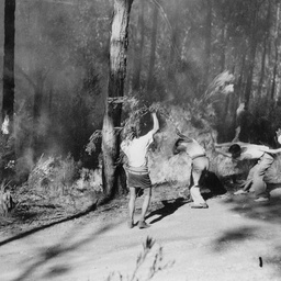 Bushfires in the Adelaide Hills