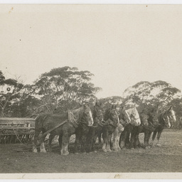 Photographs relating to McBean family