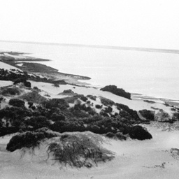 Looking north from Younghusband Peninsula across The Coorong