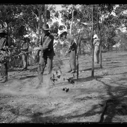 Collection of photographs taken around Adelaide by Theo Bachmann