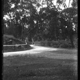 Collection of photographs taken around Adelaide by Theo Bachmann