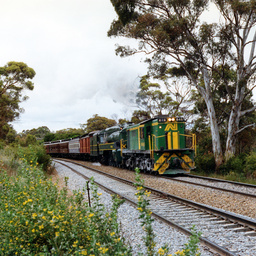 Steam Ranger near Glenalta Railway Station