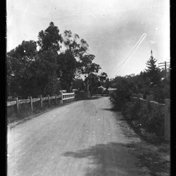 Collection of photographs taken around Adelaide by Theo Bachmann