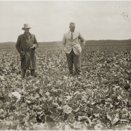 Crop on Crower Station