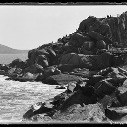 Granite Island and The Bluff.