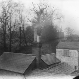 Trees and houses