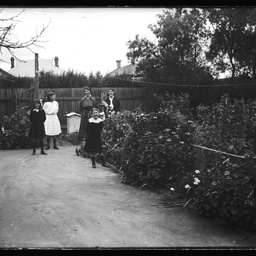 Collection of photographs taken around Adelaide by Theo Bachmann