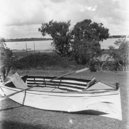 Rural scene