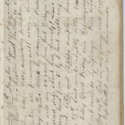 Diary of Charles Johnston