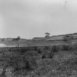 Happy Valley Reservoir : Main embankment