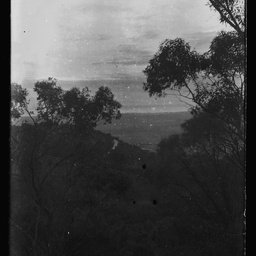 Collection of photographs taken around Adelaide by Theo Bachmann
