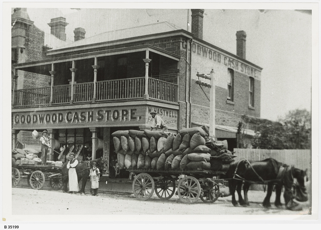 Goodwood • Photograph • State Library of South Australia