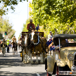 Australia Day Celebrations
