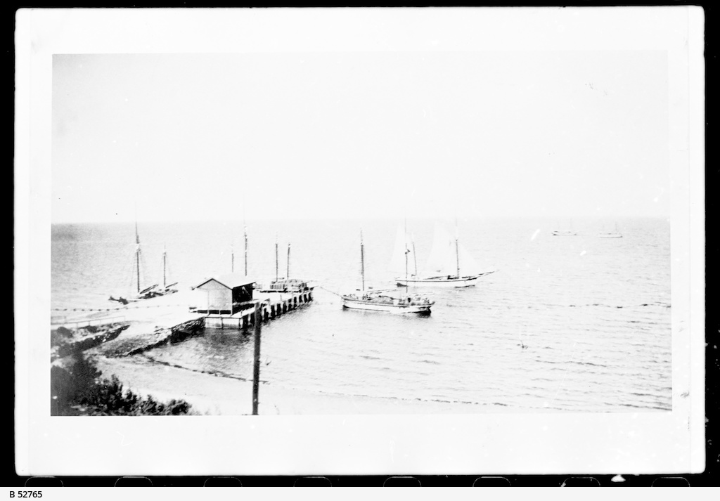 Shipping at Pine Point • Photograph • State Library of South Australia