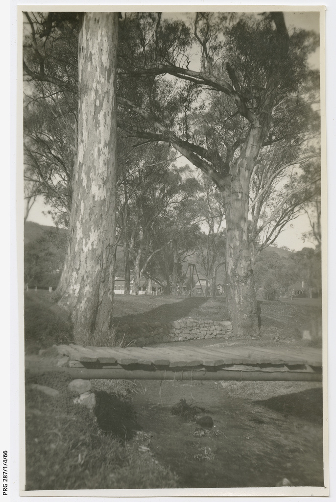 'Hazelwood Park' • Photograph • State Library of South Australia