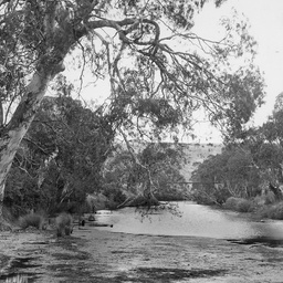 Onkaparinga River