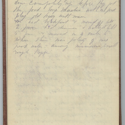 Diary of Trooper Miles Fletcher Swan