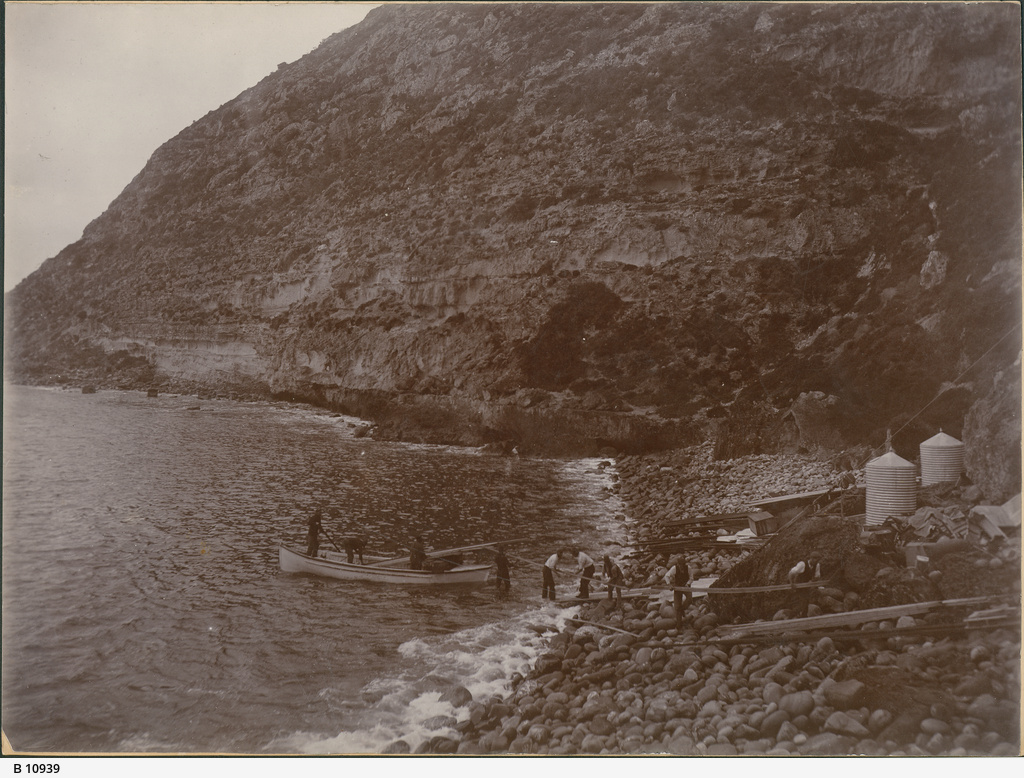 Harvey Return • Photograph • State Library of South Australia