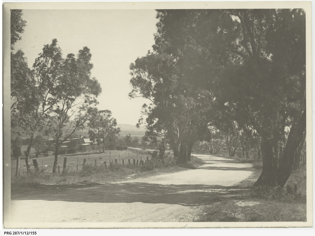 'Near Tea Tree Gully' • Photograph • State Library of South Australia