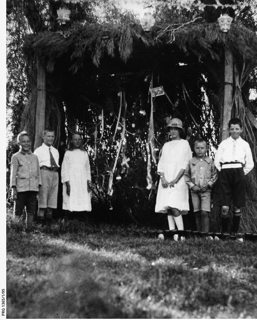 Xmas tree • Photograph • State Library of South Australia