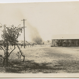 Colin James Ellis, World War II photograph album, Darwin.