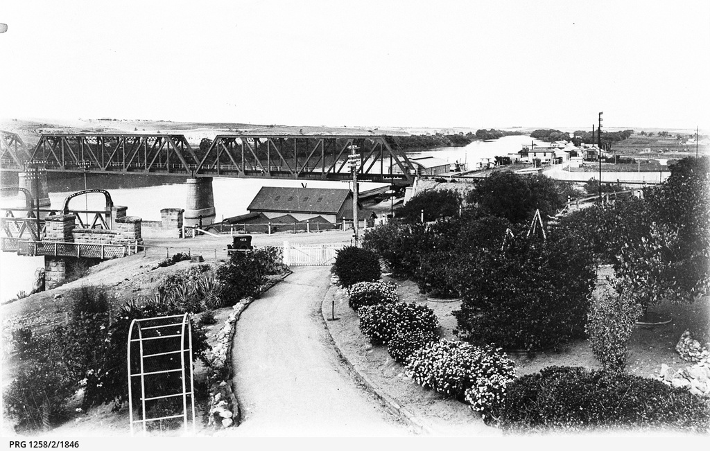 The two bridges at Murray Bridge viewed from the gardens • Photograph