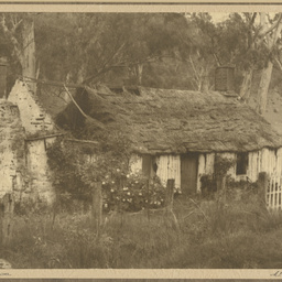 'A pioneer home'