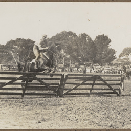 Show jumping 'at Yallunda Flat show'.