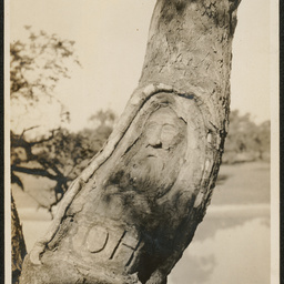 Burke's face, Fort Wills