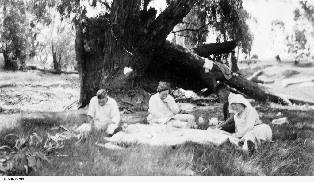 Renmark • Photograph • State Library of South Australia