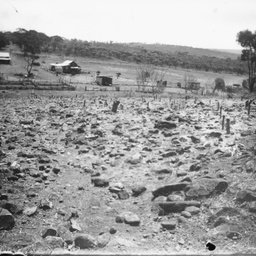 Rural scene