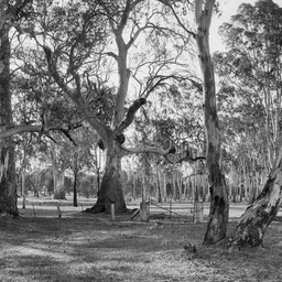 Near Sandy Creek