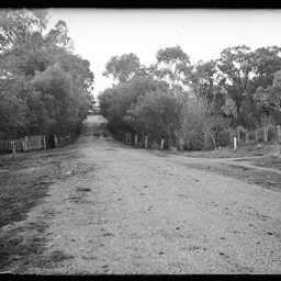 Collection of photographs taken around Adelaide by Theo Bachmann