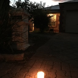 Light up the dawn, Anzac Day 2020