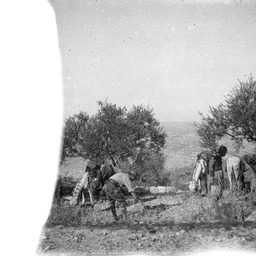 Troops and horses.