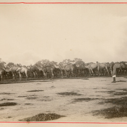 View of the Broughton
