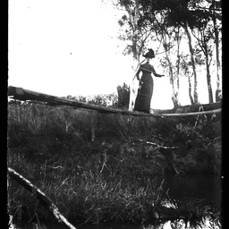 Collection of photographs taken around Adelaide by Theo Bachmann