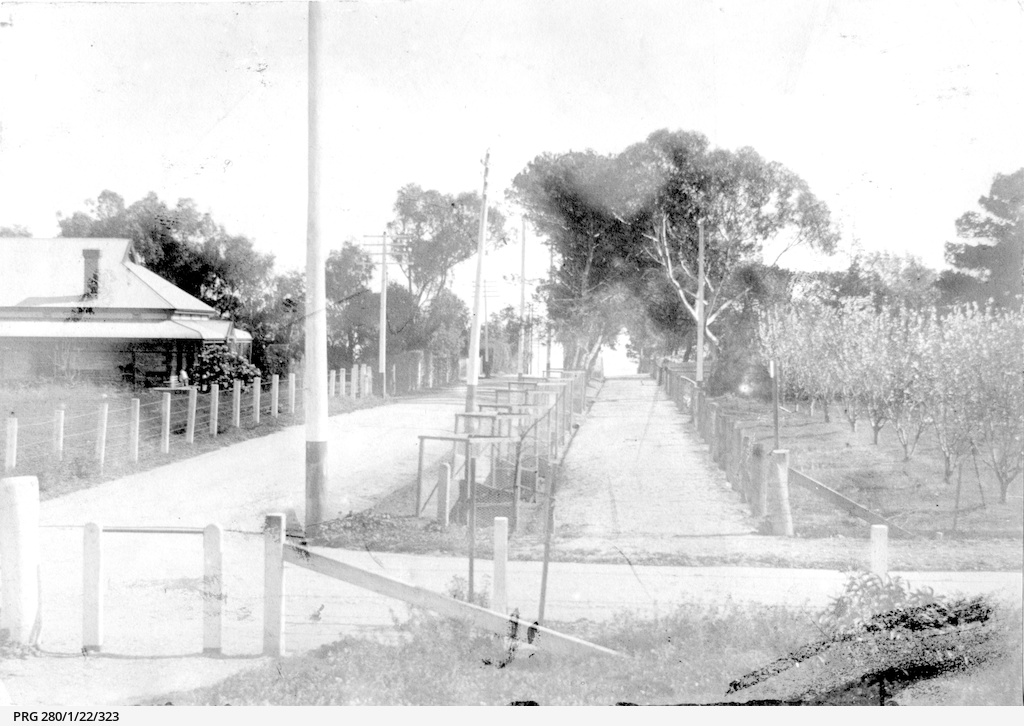 Beach Road, Brighton • Photograph • State Library of South Australia