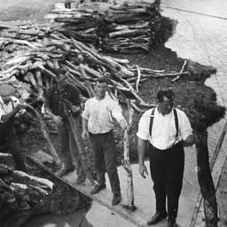 Loading wood for the paddle steamers. 