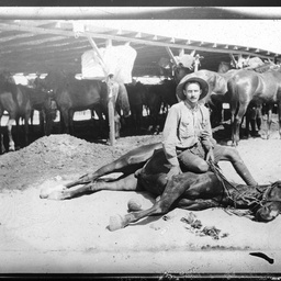 Egypt during World War I