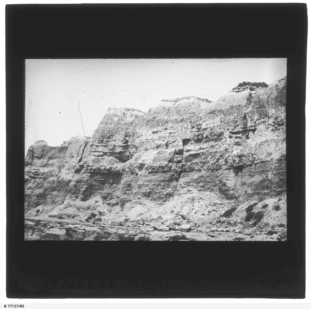 Cliffs at Port Noarlunga • Photograph • State Library of South Australia