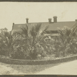The house and front garden of Wittunga farm