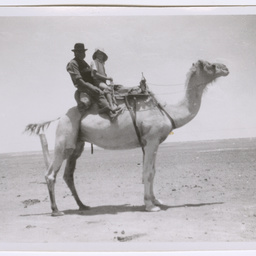 Police camel and tracker