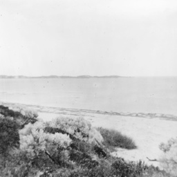 Coastal scene