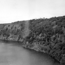 Forestland along the Murray River