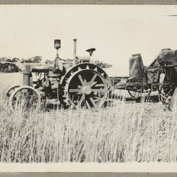 Man on a tractor, Yacka