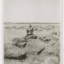 Colin James Ellis, World War II photograph album, Darwin.