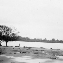 Flood at Renmark